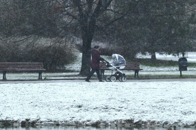 Niestety śnieg nie dotrwa do rana - mówią synoptycy...