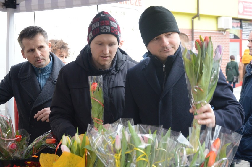 Barwne tulipany cieszyły się dużym zainteresowaniem ze...