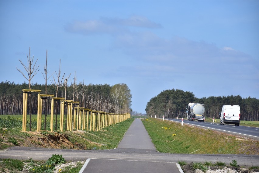 Przebudowa drogi wojewódzkiej nr 251 Żnin - Juncewo [kwiecień 2020, zdjęcia] 
