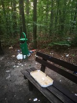 Bezmyślnie zaśmiecają park Grunwaldzki w Lublińcu. Sprzątają po nich dzieci! 