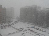 Dąbrowa Górnicza: Drogowcy walczą ze śniegiem. Były kłopoty, ale ulice są przejezdne