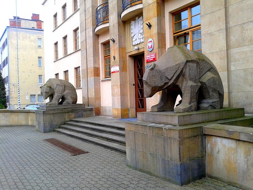 Toruńskie niedźwiadki  w oczekiwaniu na wiosnę 2015