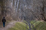 Kraina spokoju 10 km od Warszawy. Ukryty rezerwat z ciszą i piękną naturą. Miejsce idealne na spacer