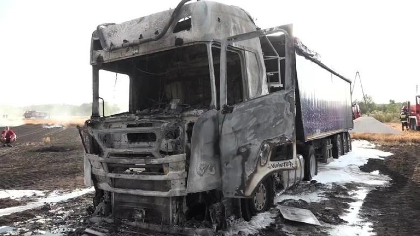 Kabina ciężarówki doszczętnie spłonęła. Wywołała też pożar ścierniska [WIDEO]