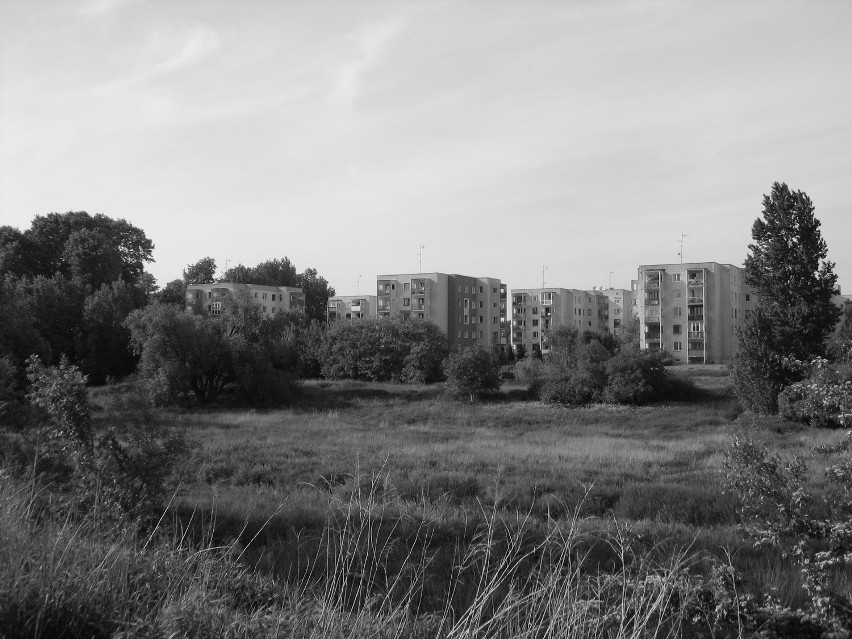 Łódź Waszymi oczami. Łódź w obiektywie Jarosława