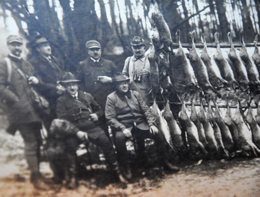 Finał polowania - 1931 rok, Krupy