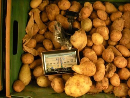 Nawigacja ukryta w ziemniakach