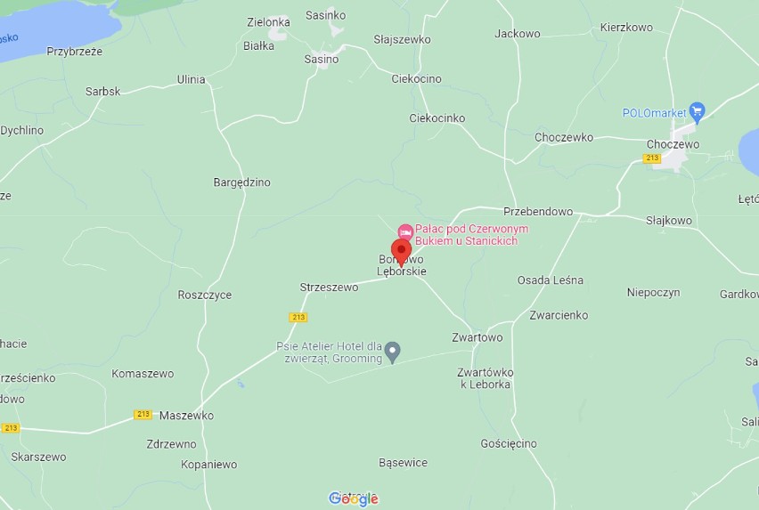 Do zdarzenia doszło w Borkowie Lęborskim w gminie Choczewo