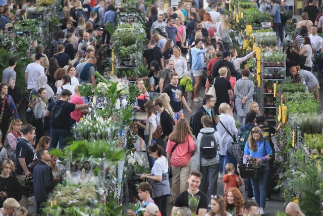 Tak wyglądał Festiwal Roślin w poprzednich latach!