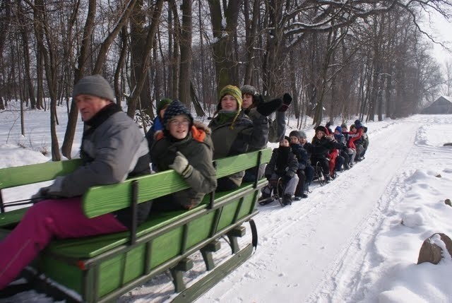 Jedną z atrakcji zimowiska w Jodłówce Tuchowskiej był kulig