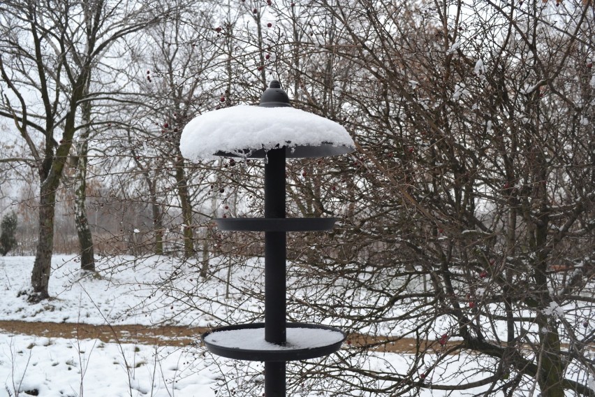 Jaworzno: Park Chrząstówka w zimowym, śnieżnym puchu