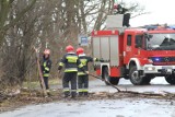 Małopolska. Zerwane dachy, powalone drzewa, 15 tys. domostw bez prądu