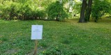 Część parku Staszica w Łodzi została oddana prywatnemu właścicielowi. Spacerujący są zdziwieni, a oznaczenia niszczone