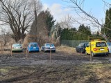 Problemy drogowe i parkingowe w Toruniu. "Przez dziury tracimy klientów" 