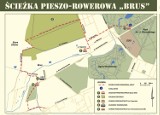 Ścieżka pieszo-rowerowa powstała na Brusie w Łodzi [MAPA]