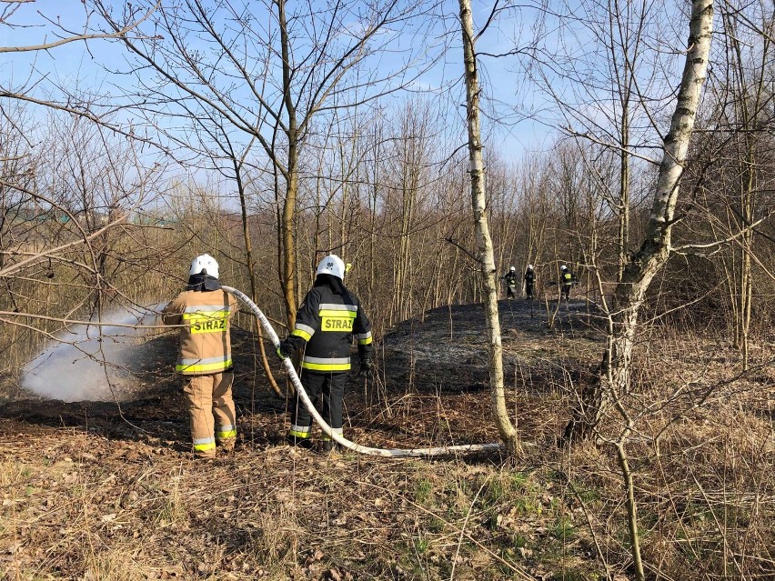 Pożary traw w powiecie kwidzyńskim. W ciągu dwóch miesięcy strażacy interweniowali ponad 60 razy [ZDJĘCIA]