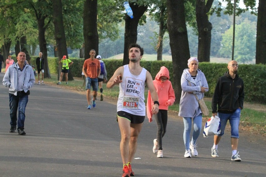 36. PKO Wrocław Maraton w niedzielę. Przez wiele godzin będą utrudnienia [ROZKŁAD JAZDY MPK, TRASA, ZAKAZ PARKOWANIA, OBJAZDY]