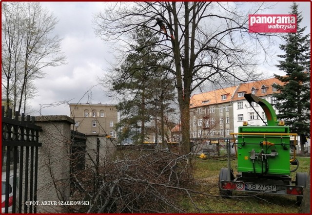 Prace pielęgnacyjne w ogrodzie Muzeum Porcelany w Wałbrzychu