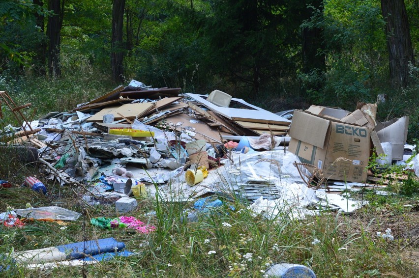 Śmieci zalegające w lasach. Znowu natura przegrywa z...