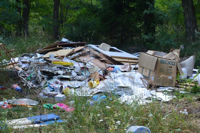 Śmieci zalegające w lasach. Znowu natura przegrywa z człowiekiem. Tak wyglądają lasy w żarskich koszarach, w Tomaszowie, w okolicach ul. Bema w Żaganiu oraz na trasie do Szprotawy.