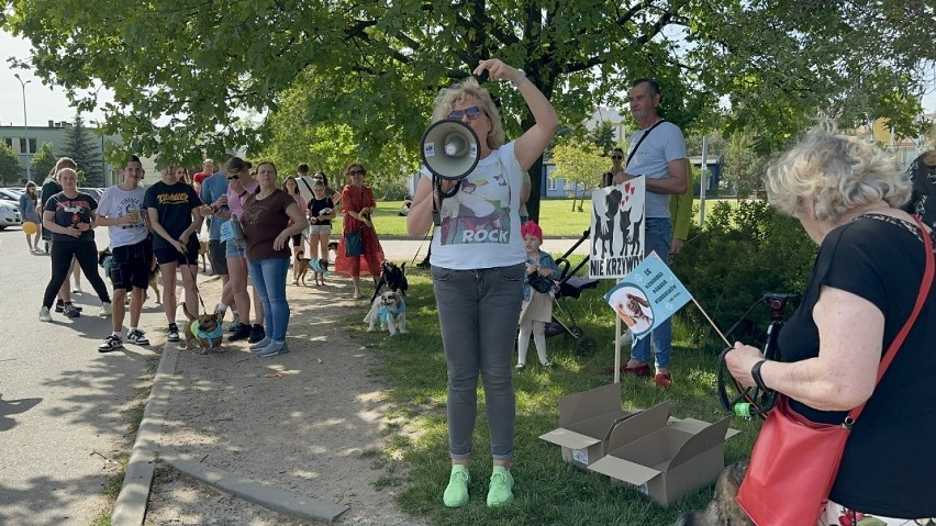 Konińska Parada Kundelków i nie tylko. Prawdziwa miłość ma cztery łapy [WIDEO]