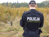 Bolesławiec: Zabił psy pod namową właściciela