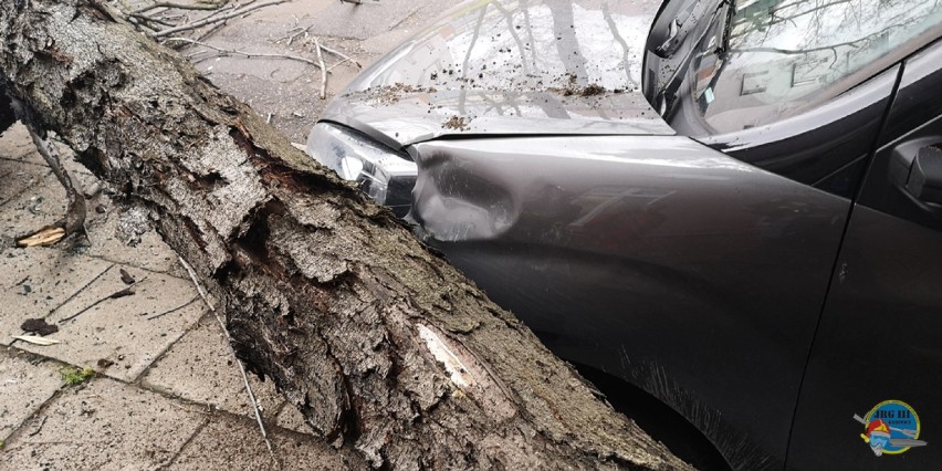 W Katowicach na ul. Raciborskiej drzewo przewróciło się na samochód.