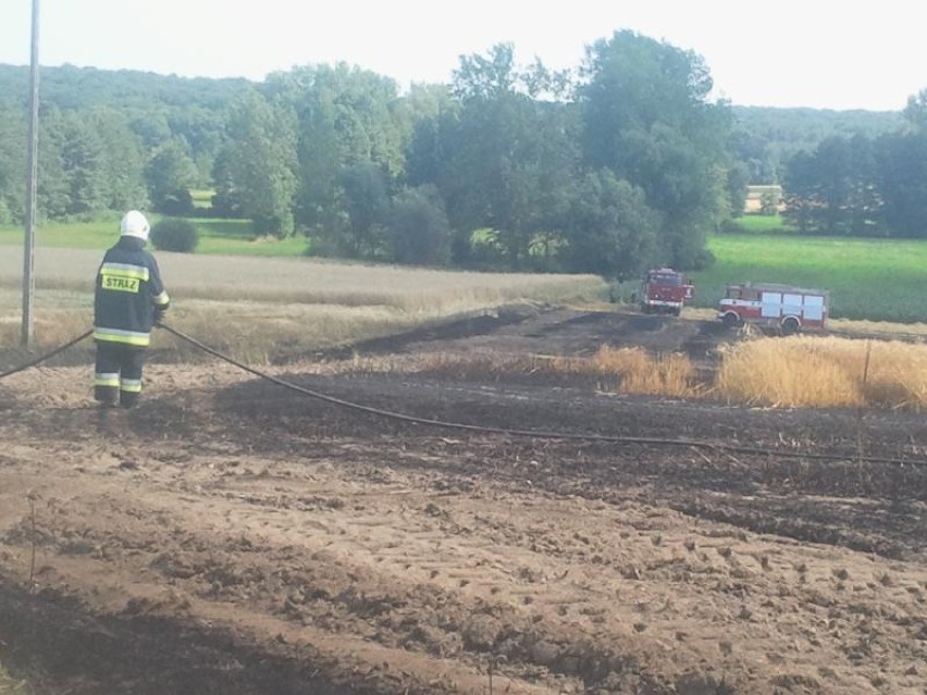 Pożar w Mełpinie. Płomienie wywołał kombajn? [ZDJĘCIA]