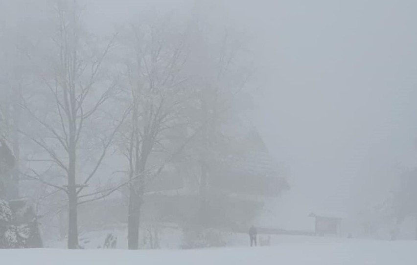 Prawdziwa zima zawitała do Wierchomli. Zdjęcia ze szlaków