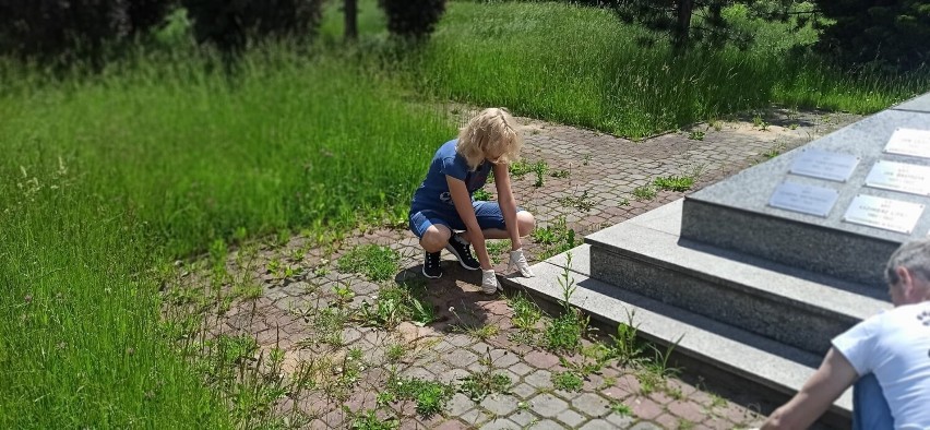 Ukraińscy wolontariusze "Widzialnej Ręki" uporządkowali starachowicki Skwer Katyński. Zobaczcie zdjęcia 