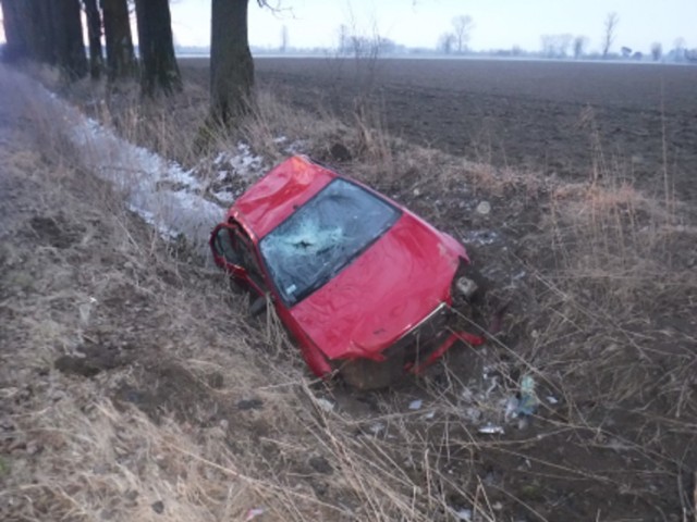 Gm. Nowy Dwór Gdański. Auto wpadło do rowu