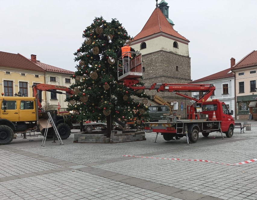 Świąteczna choinka pojawiła się na żywieckim rynku