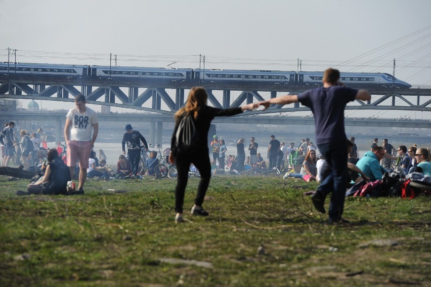 Nowe gatunki nad Wisłą: kiepówka plamista i butlodziób...