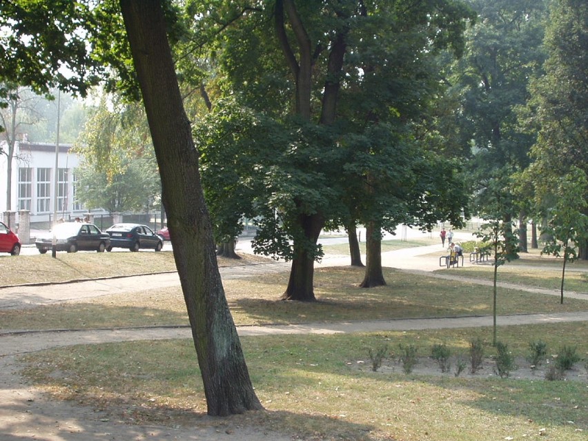 Park miejski rok 2002