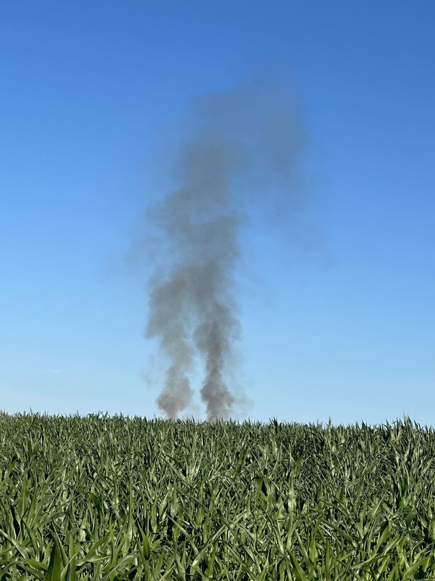 Pożar pola w miejscowości Skrzetusz koło Ryczywołu. Dym widoczny z kilkudziesięciu kilometrów