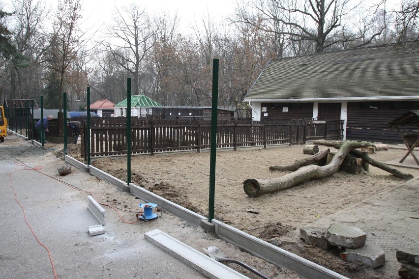 Remont w zoo w Łodzi