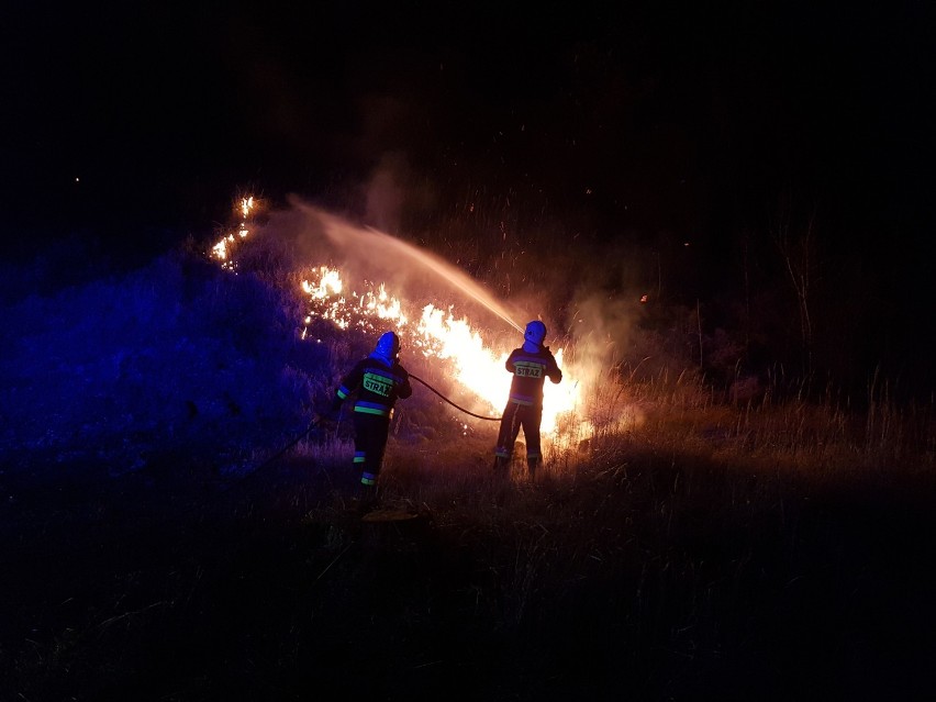 Debrzno. Ruszył niechlubny proceder wypalania traw