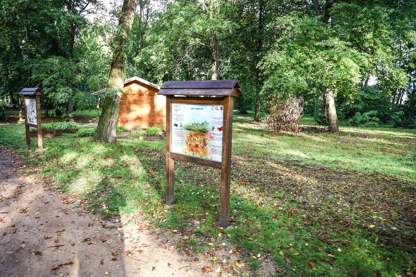 Leszczyńskie mini zoo i park 1000-lecia jesienią 2022