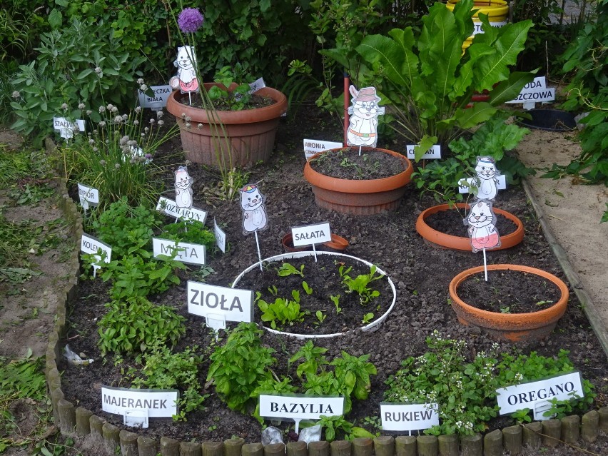W przedszkolach w Mieście i Gminie Pleszew mają powstać ogródki warzywno-ziołowe