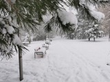 Zima zagościła w Trzebini. Sypnęło śniegiem i zrobiło się bajkowo. Zobacz ZDJĘCIA