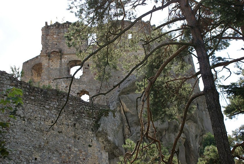 Zamek Kamieniec w Odrzykoniu