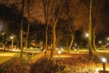 Starachowicki park po remoncie zachwyca. W nocnej odsłonie prezentuje się znakomicie. Prezydent apeluje by posznować to miejsce (ZDJĘCIA)