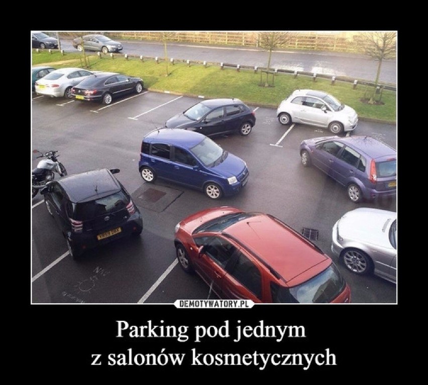 Jak można tak fatalnie zaparkować? "Miszcze" parkowania w akcji. Oto MEMY o najgorszych kierowcach
