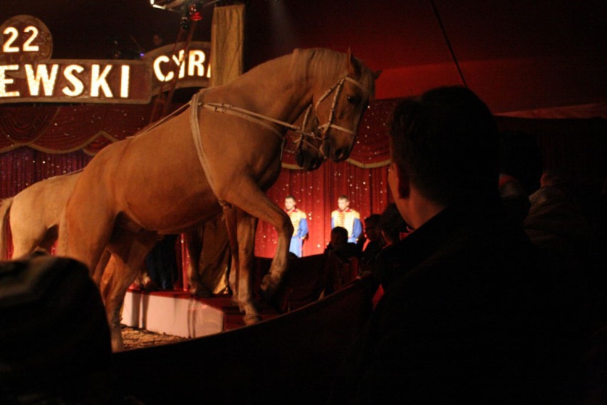 Cyrk Zalewski we Wrześni