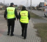 Mandat dla bałaganiarza od strażników miejskich we Włocławku 