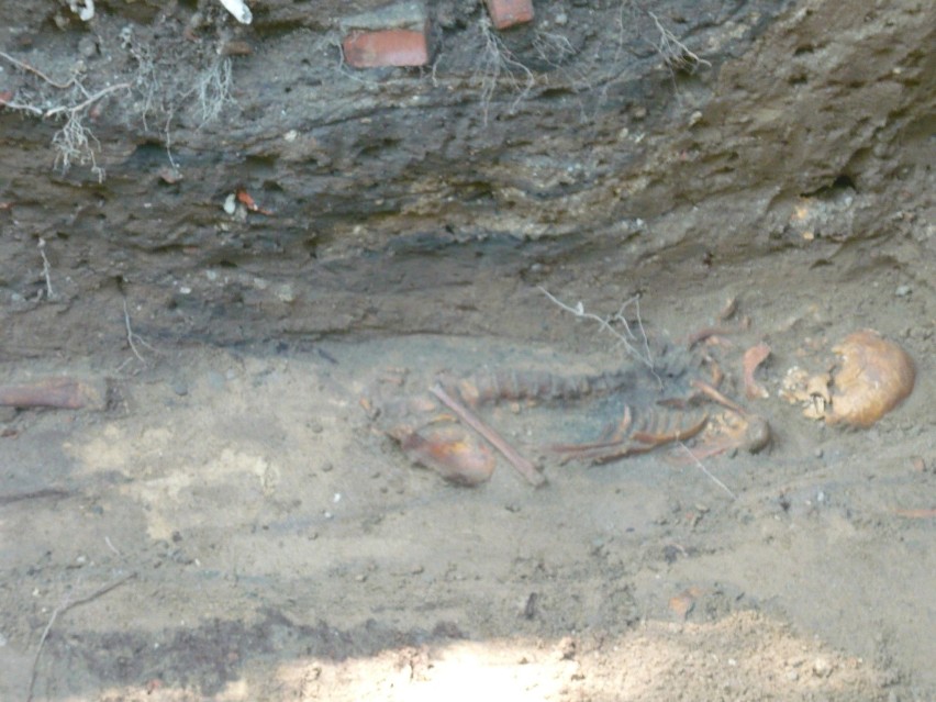 Badania archeologiczne w Rybniku: ruszyły kolejne...