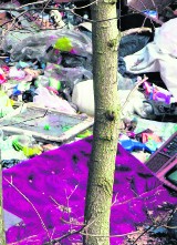 Mysłowice: Rośnie dzikie wysypisko śmieci na Ćmoku