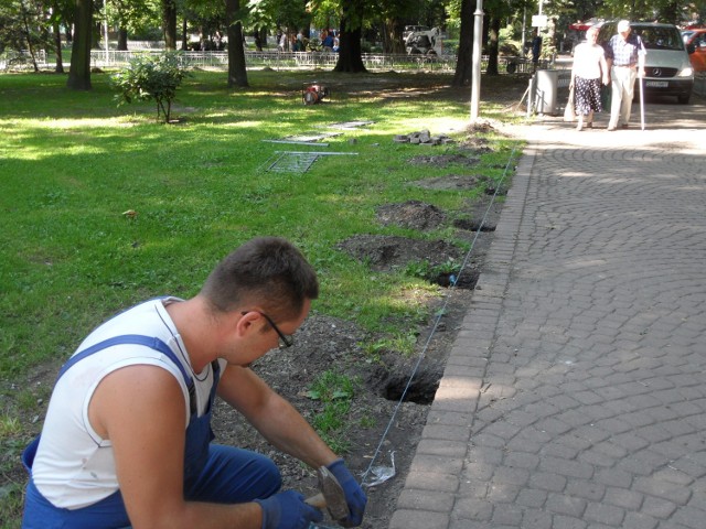 Trawniki w Parku Hutników będą ogrodzone