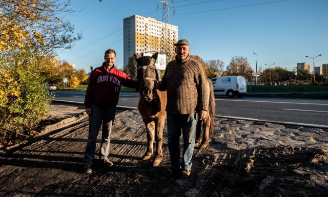 Tak żyje rodzina Piętów. Od lat, z pokolenia na pokolenie prowadzą gospodarstwo rolne. Dziś już skromne i z roku na rok coraz bardziej okrojone, ale póki co - nie myślą, by poprzestać i teren sprzedać.