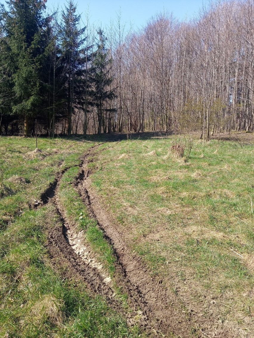 Nadal tereny cenne przyrodniczo są rozjeżdżane przez...